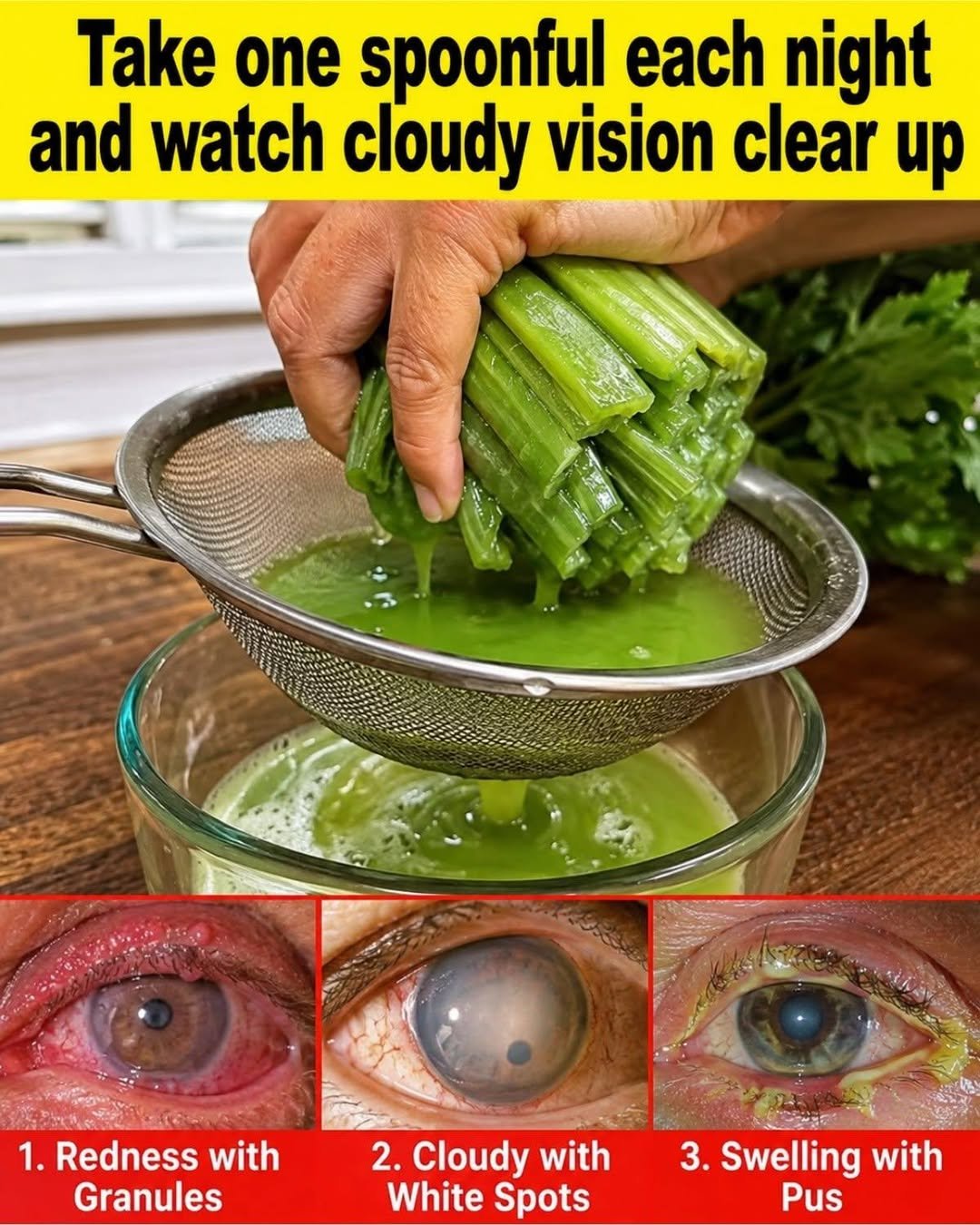 A Simple Green Drink for a Healthy Vision Routine
