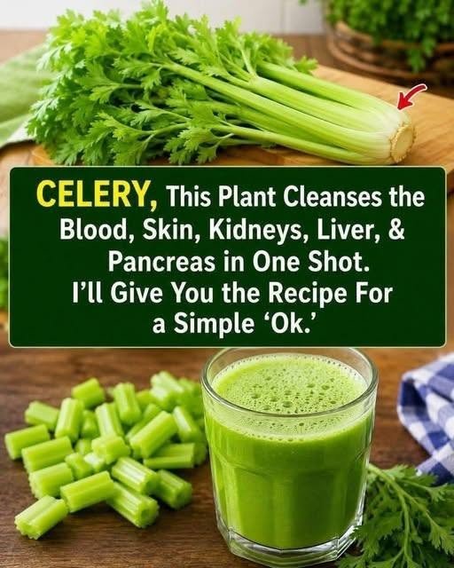 Celery Juice: A Simple Way to Add More Vegetables to Your Day